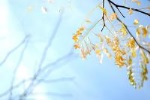 怎样与水瓶座和平分手
