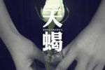 天蝎座的理想情人