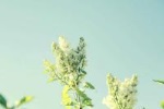 白羊座前任突然联系你