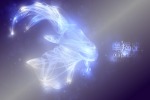 摩羯座的守护星及星格详解