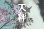 天秤座的理想情人
