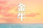 金牛座寂寞会怎么做